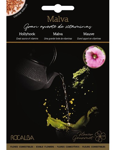 Llavor aromàtica Cilantre