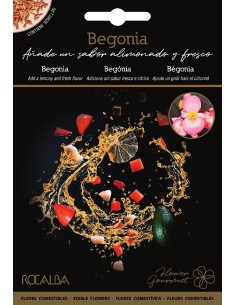 Semente de begônia - limão e fresco