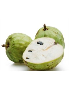 Xirimoi ( 80-100 cm l'alçada)