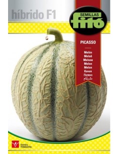 Semilla Melón Amarillo oro canario