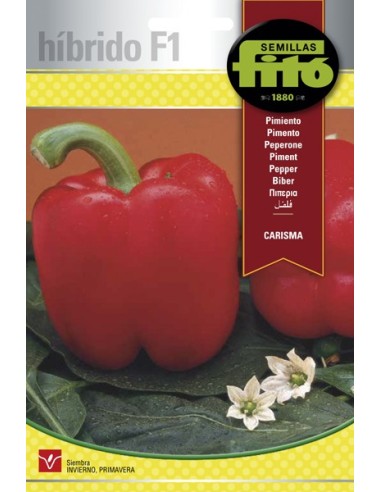 Semilla pimiento Carisma (híbrida)