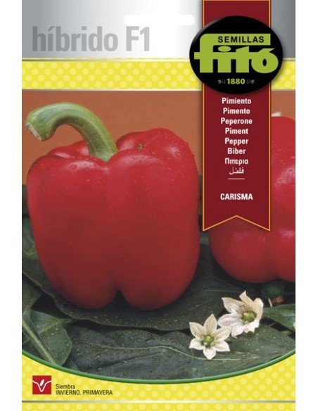 Semilla pimiento Carisma (híbrida)