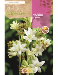 Bulb de nard a granel Rocalba