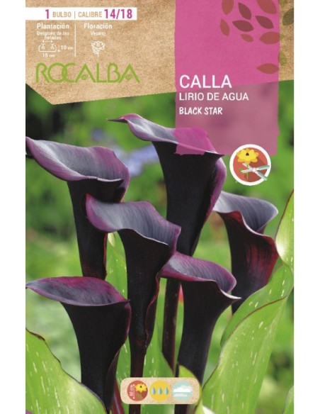 Compre Bulbo de calla em Germigardne