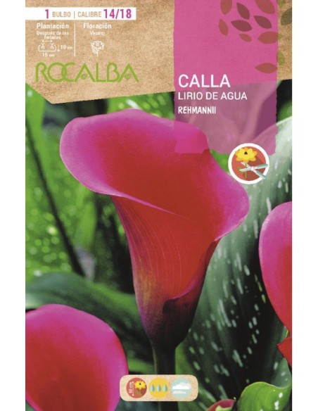 Compre Bulbo de calla em Germigardne