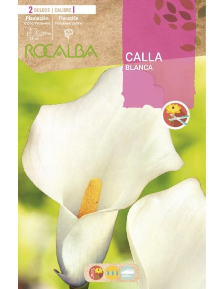 Bulbo de calla o lirio de agua
