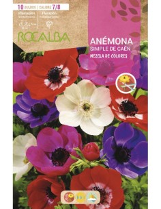 Compre Bulbo de anemone em Germigarden