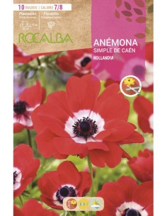 Bulbs d'anèmona 2