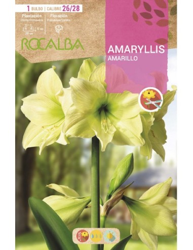 Comprar amarilis en bulbo desde 7,95€ en Germigarden