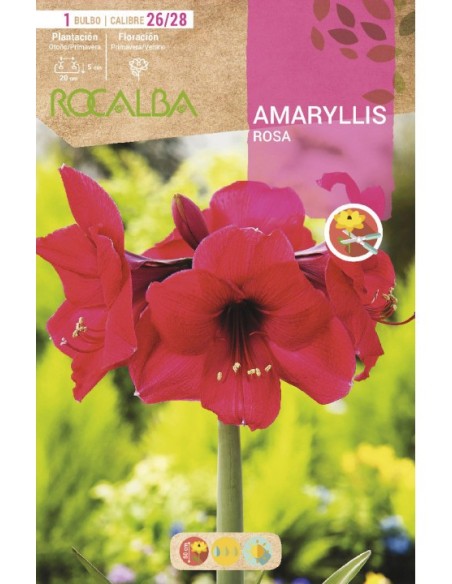 Compre amarílis em bulbo a partir de € 7,95 em Germigarden