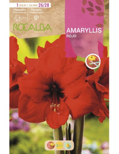 Compre amarílis em bulbo a partir de € 7,95 em Germigarden