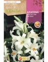 Bulb de azuzena a granel (unitat)