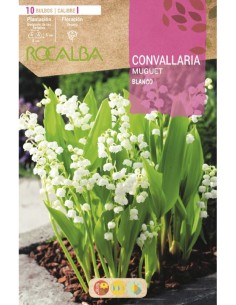 Comprar Convallaria