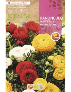 Bulbos de ranúnculo