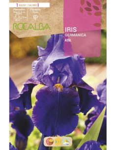 Bulb de iris