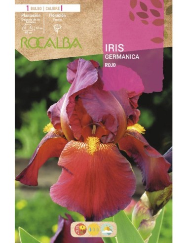 Bulb de iris