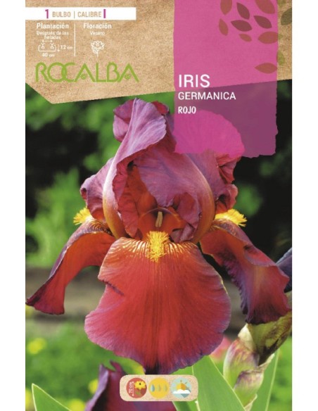 Bulb de iris