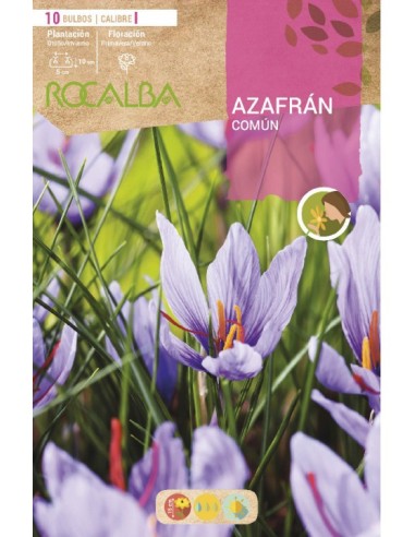 Bulbs de safrà