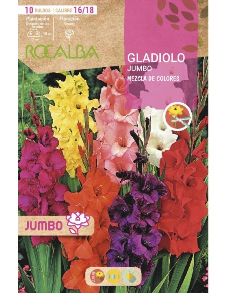 Bulbo de gladiolo Jumbo (bolsa 10 unidades)