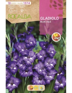Compre Bulbo de gladíolo Rocalba em Germigarden 2
