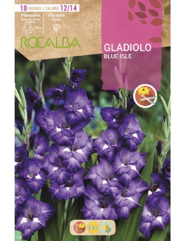 Compre Bulbo de gladíolo Rocalba em Germigarden