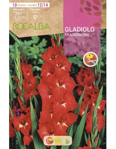 Compre Bulbo de gladíolo Rocalba em Germigarden