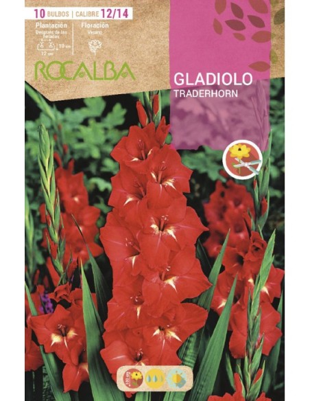 Compre Bulbo de gladíolo Rocalba em Germigarden