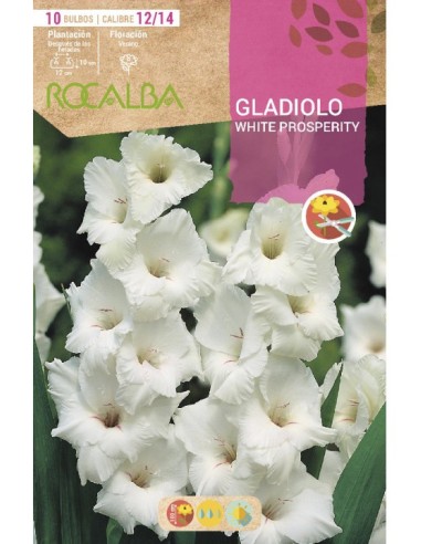 Bulb de gladiol