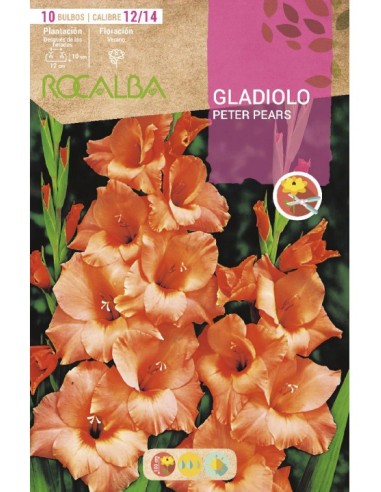 Compre Bulbo de gladíolo Rocalba em Germigarden