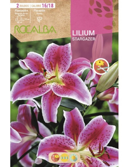 Bulbo de lilium en Germigarden