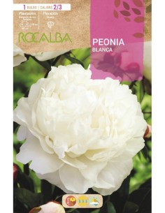 Bulb de peonia a Germigarden
