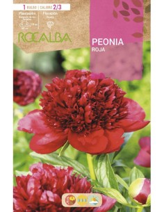 Bulbo de peônia Rocalba (unidade) em Germigarden 2