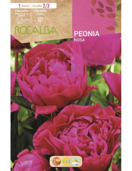 Bulb de peonia a Germigarden