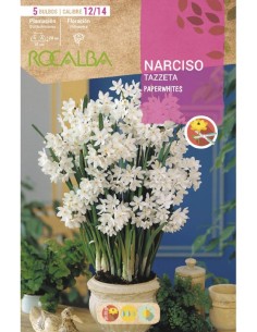 Bulbo de narciso Tazzeta (bolsa 5 unidades)