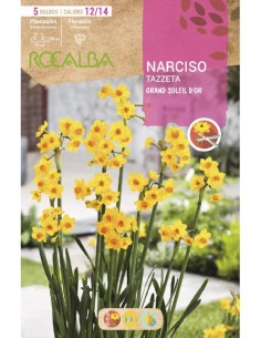 Bulbo de narciso Tazzeta (bolsa 5 unidades) 2