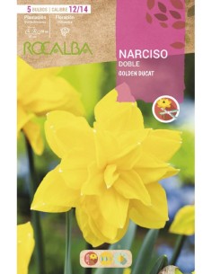 Bulbs de narcís 2