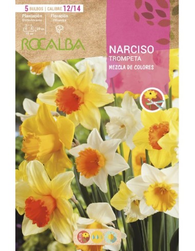 Bulbo de narciso trompeta a granel (unidad)