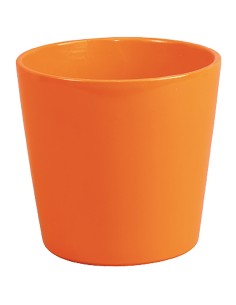Test de cerámica bàsica carbassa (varies mides)