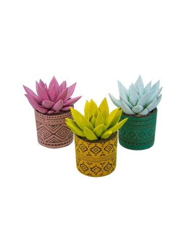Echeveria puntas coloreadas variadas (maceta 5 cm ø)