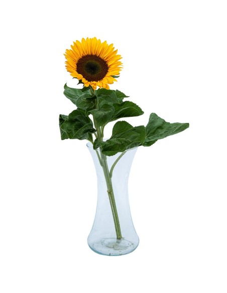 Flor Girassol