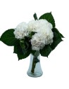 Flor d'hortènsia