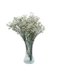 Buquê de limonium
