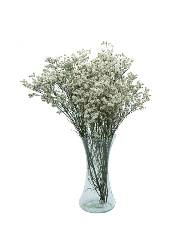 Buquê de limonium