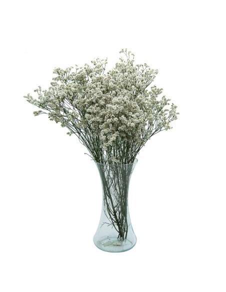 Ramo de Limonium