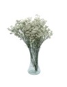 Ramo de Limonium