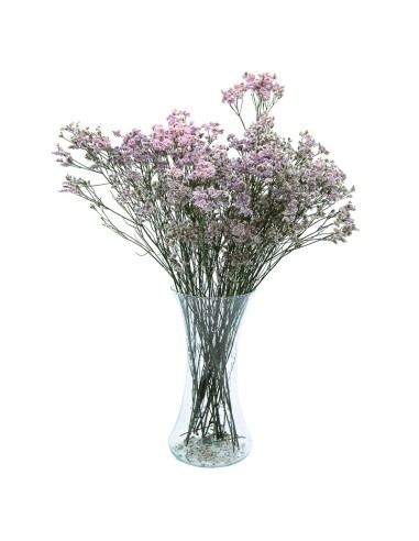 Ramo de Limonium