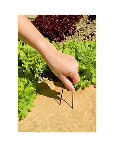 Estaques para fixar (10,5 cm longitud)
