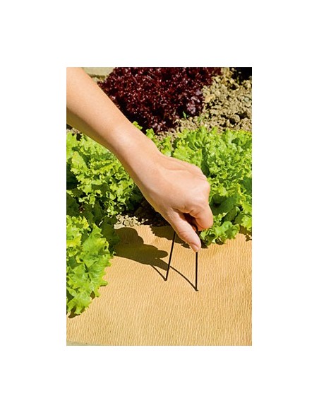 Estacas para fijar (10,5 cm longitud)