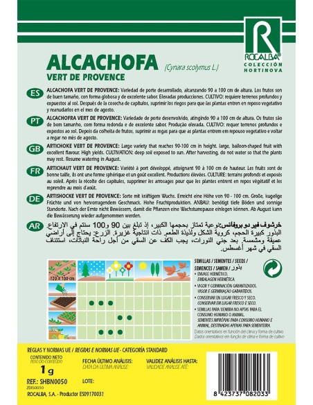 Acelga amarilla de Lyon 2