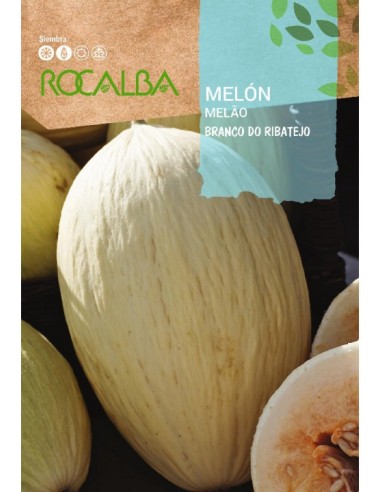 Semente de melão branco do ribatejo